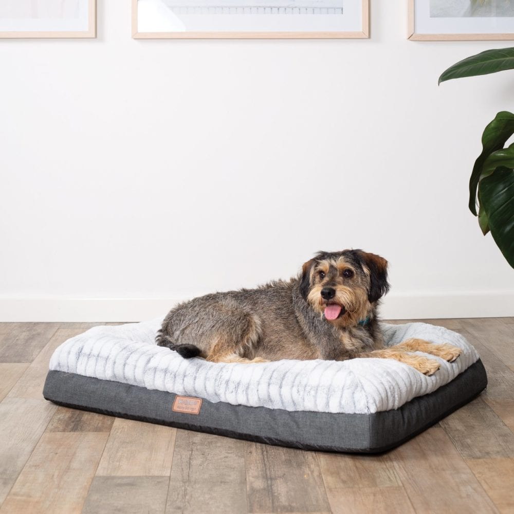 Kazoo Cloud Comfort Bed | Southwest Stockfeeds