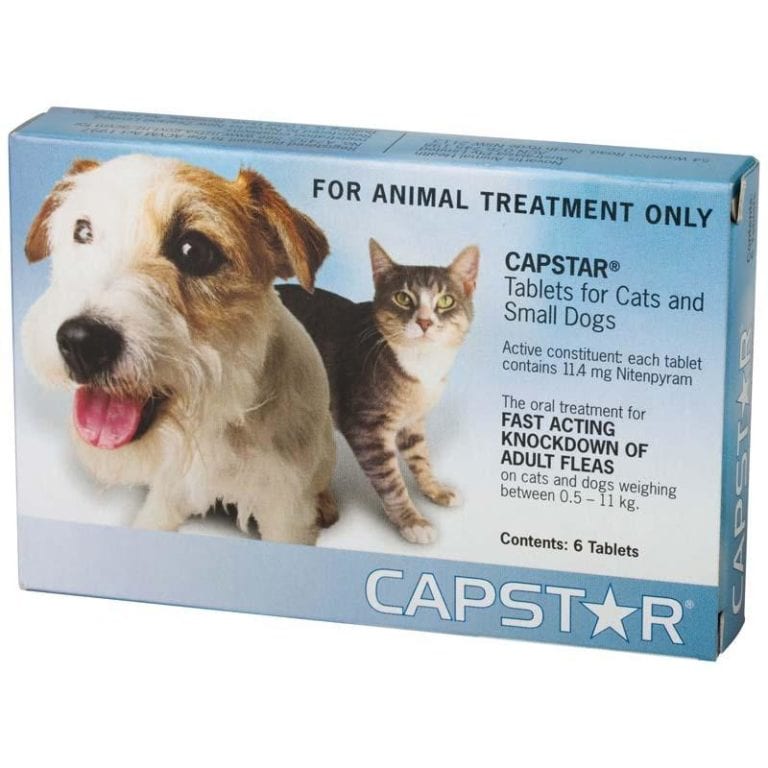 capstar for kittens