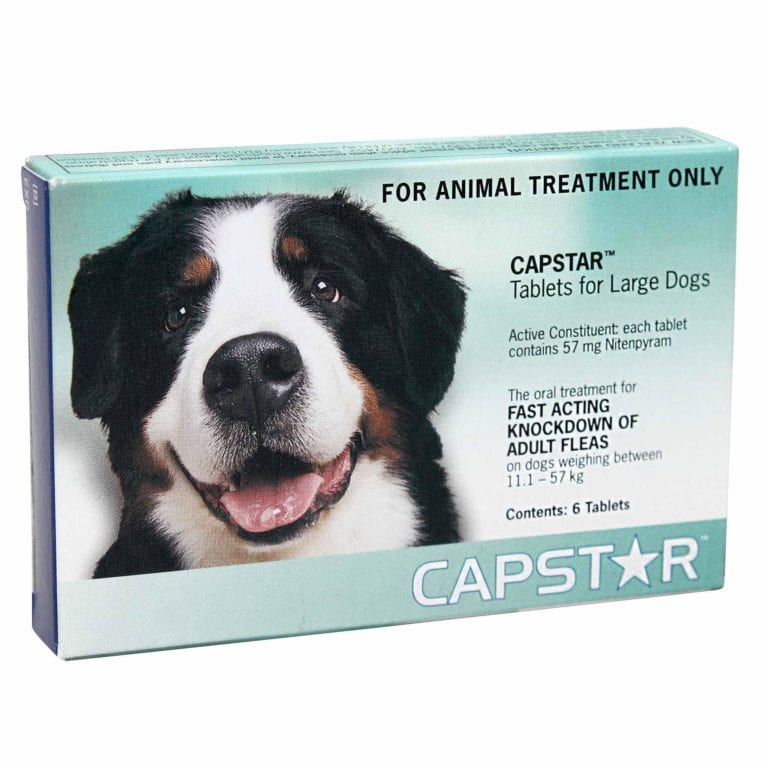 capstar for large dogs