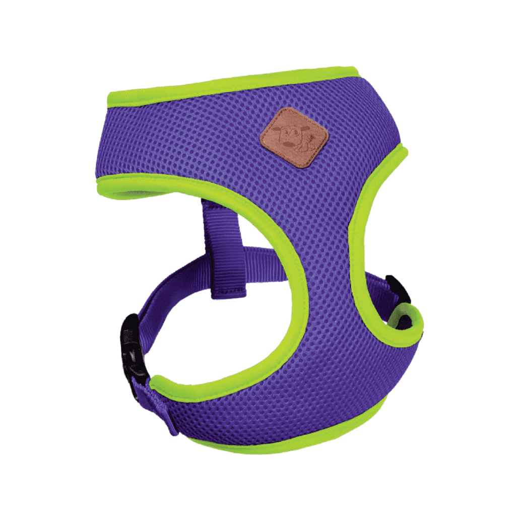 Kazoo Soft Harness Southwest Stockfeeds