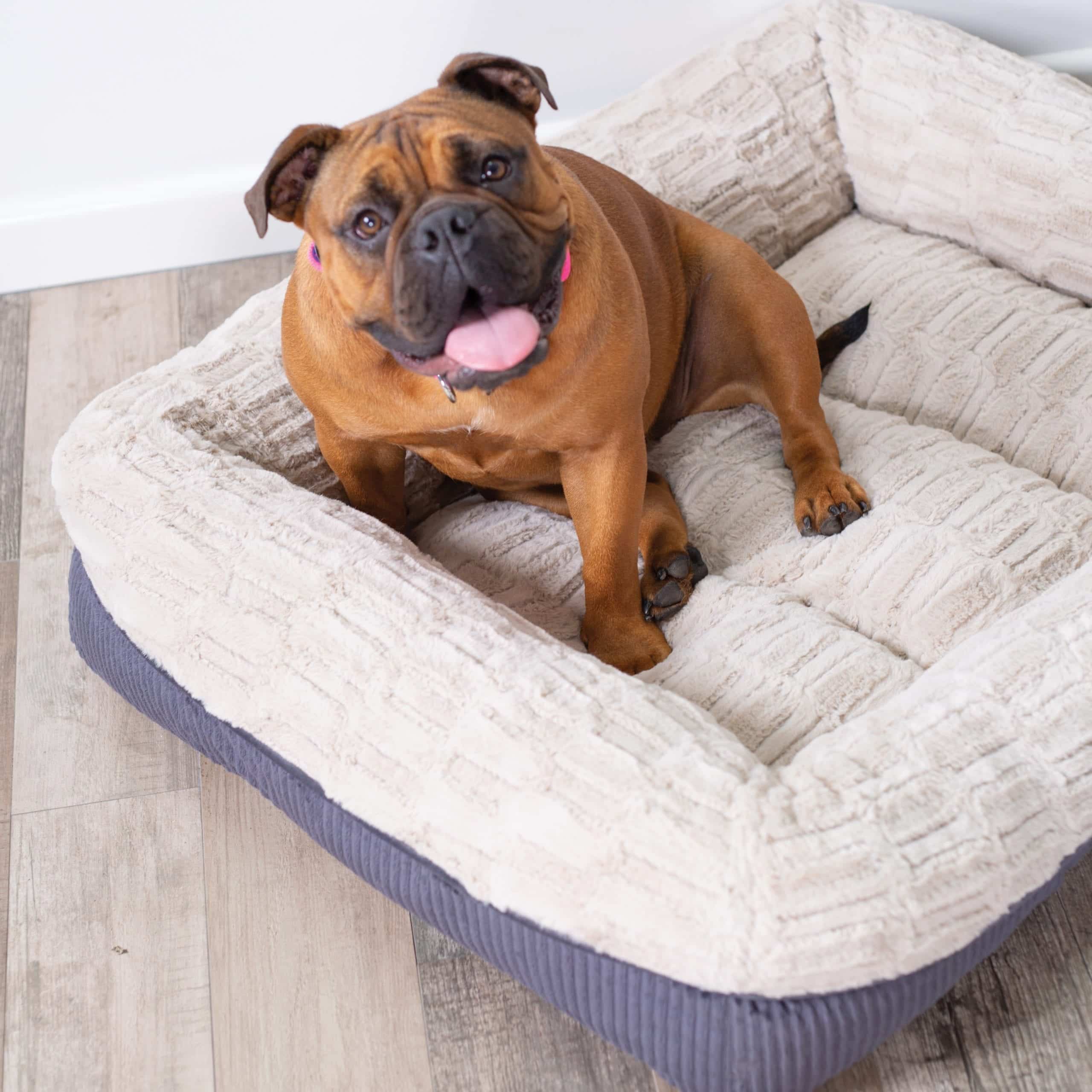 Kazoo Possum Dog Bed Southwest Stockfeeds