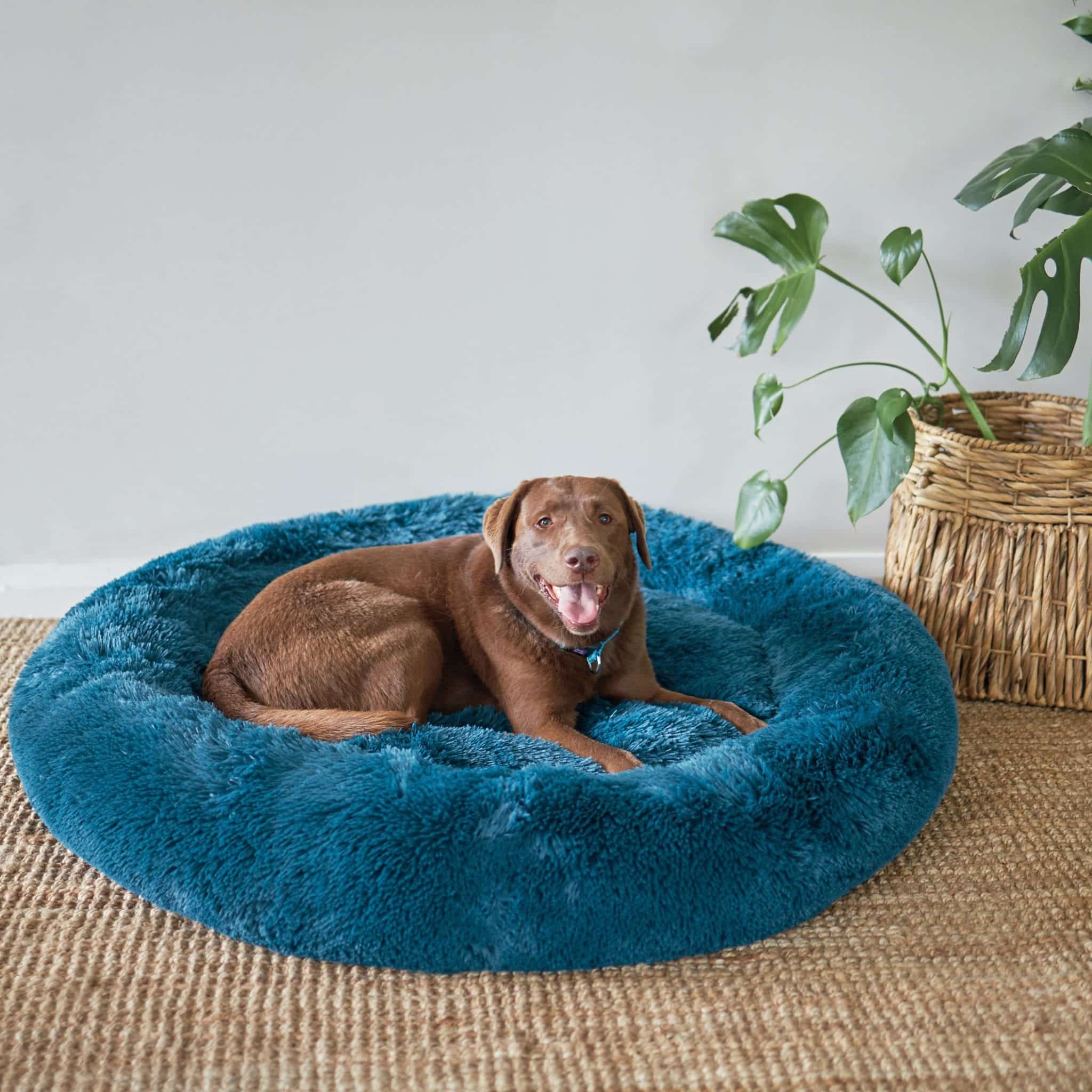 Kazoo Peacock Pet Bed Southwest Stockfeeds
