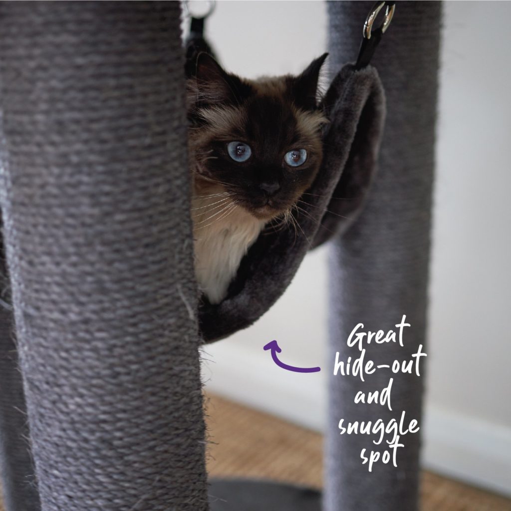 Kazoo Kitty Sleep & Hang Round Charcoal Southwest Stockfeeds